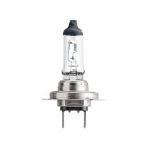 Philips MasterDuty 24V H7 Halogeenlamp 70W los