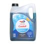 Koelvloeistof TotalEnergies Coolelf ECO BS -22°C 5 liter